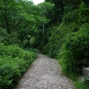 梅坞村村民委员会 - 绍兴市旅游 缩略图 9