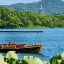 杭州西湖风景名胜区-曲院风荷 - 杭州市旅游 缩略图 6