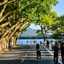 杭州西湖风景名胜区-曲院风荷 - 杭州市旅游 缩略图 7