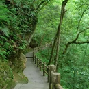 西岭雪山大飞水景区 - 成都市旅游 缩略图 8