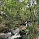 长春湖-东门 - 南昌市旅游 缩略图 4