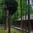 都江堰灵岩山曾子祠 - 成都市旅游 缩略图 1