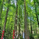 都江堰灵岩山曾子祠 - 成都市旅游 缩略图 3