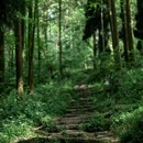 都江堰灵岩山曾子祠 - 成都市旅游 缩略图 7