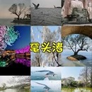 伯渎河 - 无锡市旅游 缩略图 9
