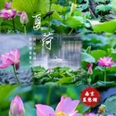 莫愁湖公园 - 南京市旅游 缩略图 1