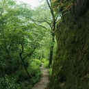 桐木关 - 南平市旅游 缩略图 2