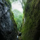 桐木关 - 南平市旅游 缩略图 6