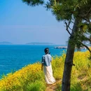黄岛 - 青岛市旅游 缩略图 9