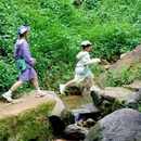 南香山森林公园 - 广州市旅游 缩略图 3