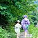 南香山森林公园 - 广州市旅游 缩略图 9