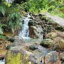 南香山森林公园 - 广州市旅游 缩略图 8