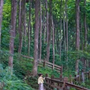 都江堰新华海颐·御垒山居酒店 - 成都市旅游 缩略图 2