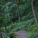 都江堰新华海颐·御垒山居酒店 - 成都市旅游 缩略图 6