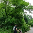 铜马沟竹海公园 - 成都市旅游 缩略图 9