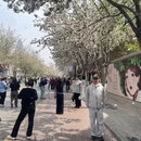 海河风景线 - 天津旅游 缩略图 5