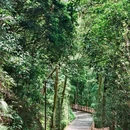 深圳绿道 - 深圳市旅游 缩略图 2
