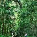 深圳绿道 - 深圳市旅游 缩略图 3