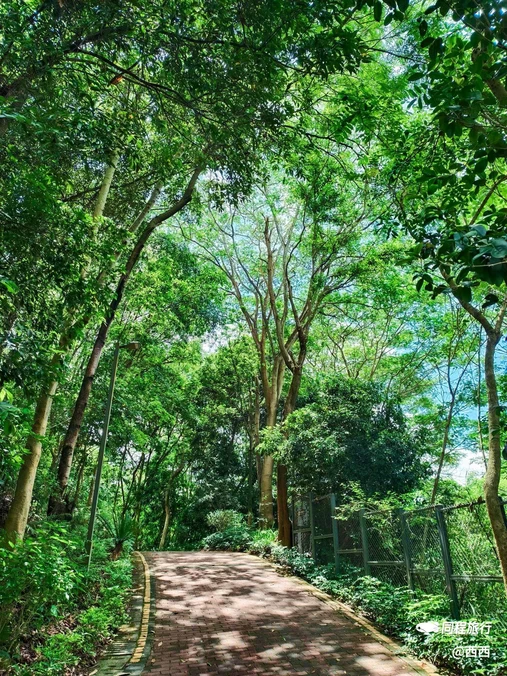深圳绿道 - 深圳市旅游