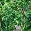 深圳绿道 - 深圳市旅游 缩略图 5