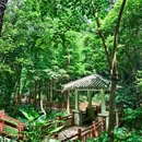 深圳绿道 - 深圳市旅游 缩略图 4