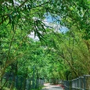 深圳绿道 - 深圳市旅游 缩略图 6