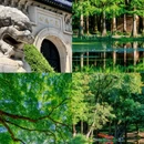 南京夫子庙 - 南京市旅游 缩略图 6