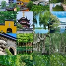 南京夫子庙 - 南京市旅游 缩略图 8