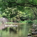 旺山景区 - 苏州市旅游 缩略图 4