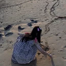 那香海景区 - 威海市旅游 缩略图 2