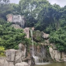 礐石风景名胜区 - 汕头旅游 缩略图 3