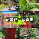 会泽逸博大酒店(会泽古城店) - 曲靖市旅游 缩略图 1