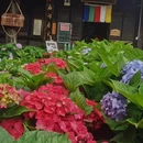 会泽逸博大酒店(会泽古城店) - 曲靖市旅游 缩略图 3