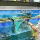 CHAGEE霸王茶姬(浙江杭州滨江世茂缤谷店) - 杭州市旅游 缩略图 9