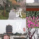黄鹤楼公园-西门 - 武汉市旅游 缩略图 1