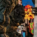 徽州古城 - 黄山旅游 缩略图 7