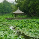 玄武湖景区 - 南京市旅游 缩略图 9