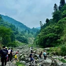 尖尖树 - 成都市旅游 缩略图 4
