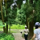 尖尖树 - 成都市旅游 缩略图 2