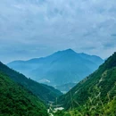 尖尖树 - 成都市旅游 缩略图 7