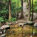 马峦山郊野公园 - 深圳市旅游 缩略图 6