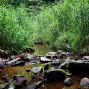 马峦山郊野公园 - 深圳市旅游 缩略图 7