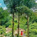 三亚天涯美食海鲜广场 - 三亚市旅游 缩略图 9