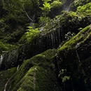 邛崃天台山度假景区停车场 - 成都市旅游 缩略图 9