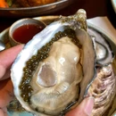 普朗姆生蚝牛排馆THE PLUMP OYSTER - 上海市旅游 缩略图 8
