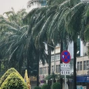 金香顿悦庭高空无边泳池全景花园酒店(西双版纳嘎洒国际机场店) - 西双版纳傣族自治州旅游 缩略图 5