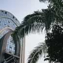 金香顿悦庭高空无边泳池全景花园酒店(西双版纳嘎洒国际机场店) - 西双版纳傣族自治州旅游 缩略图 6