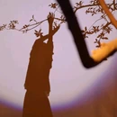 金鹰国际广场-南门 - 苏州市旅游 缩略图 5