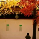 金鹰国际广场-南门 - 苏州市旅游 缩略图 7