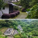 雁南飞茶田景区-桥溪古韵旅游景点 - 梅州市旅游 缩略图 4